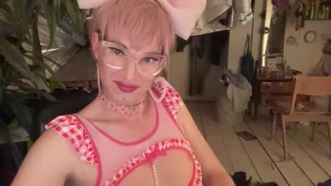 pinkfag online show from 8, 4, 2026