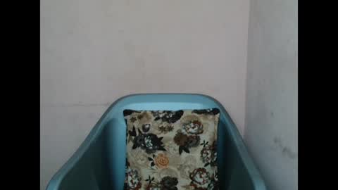 Snapshot of pinkyxxpussy chatting on 8, 2, 2026 pinkyxxpussy online show from 8, 2, 2026