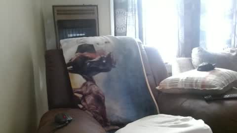 Snapshot of pirate334 chatting on 3, 2, 2026 pirate334 online show from 3, 2, 2026