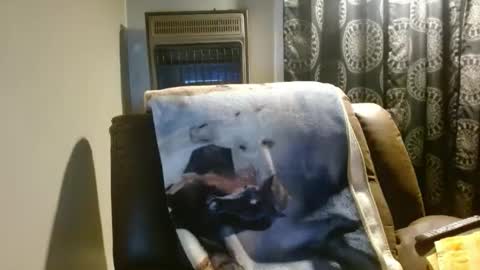 pirate334 online show from 24, 3, 2026