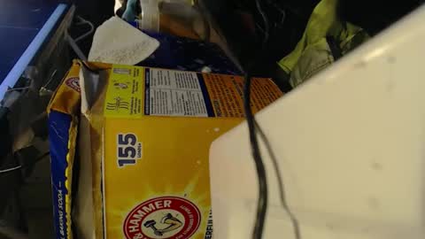 Pisanobear Daddy loose open HairyHole poppers toys online show from 7, 2, 2026