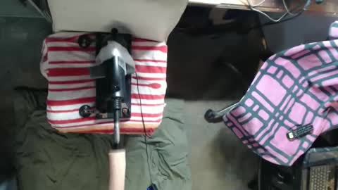 Pisanobear Daddy loose open HairyHole poppers toys online show from 16, 4, 2026