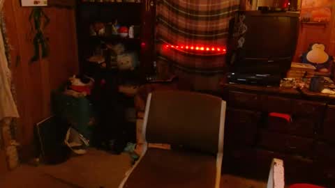 Snapshot of pixinun chatting on 11, 12, 2024 Izzy online show from 11, 12, 2024