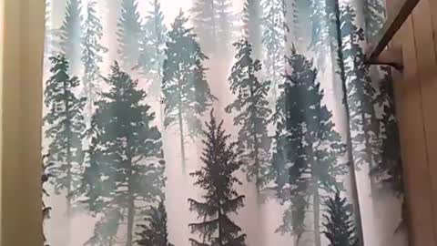 Snapshot of playboy5543 chatting on 12, 12, 2024 SEX ADDICTION WANNA MEET online show from 12, 12, 2024