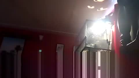 Snapshot of playboy5543 chatting on 19, 12, 2024 SEX ADDICTION WANNA MEET online show from 19, 12, 2024