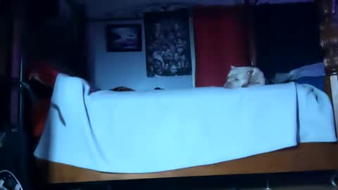 Snapshot of playboy5543 chatting on 20, 1, 2025 SEX ADDICTION WANNA MEET online show from 20, 1, 2025