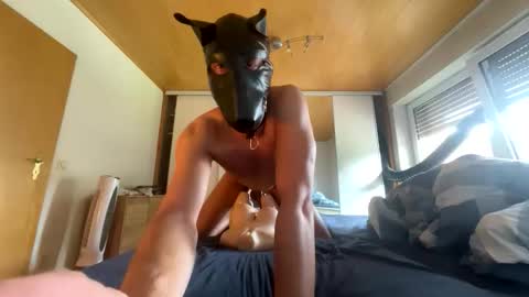 Snapshot of playdog123 chatting on 21, 9, 2025 playdog123 online show from 21, 9, 2025