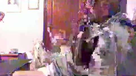 plu07f3520 online show from 9, 4, 2026