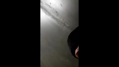 pmacking69 online show from 6, 12, 2024