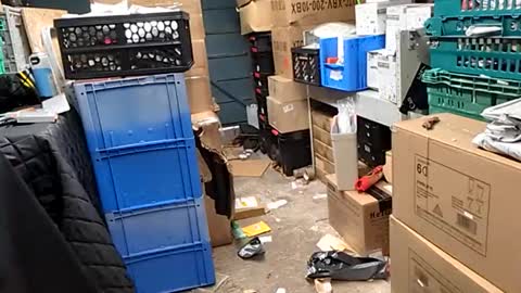 po13o online show from 29, 10, 2025