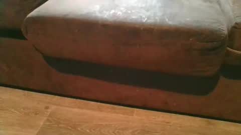 pokerfffface79 online show from 17, 2, 2026