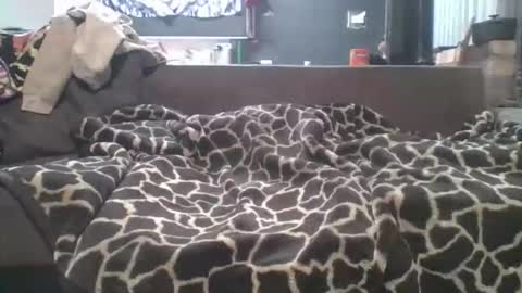 pokerfffface79 online show from 27, 3, 2026