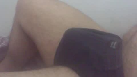 pol2023 online show from 19, 11, 2025