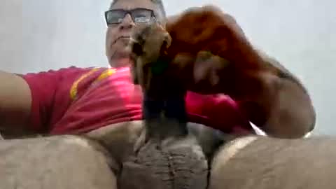 Snapshot of poli475 chatting on 15, 2, 2025 poli online show from 15, 2, 2025