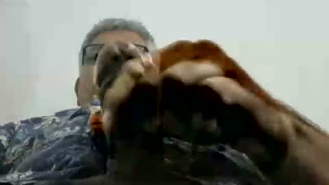 Snapshot of poli475 chatting on 17, 11, 2025 poli online show from 17, 11, 2025