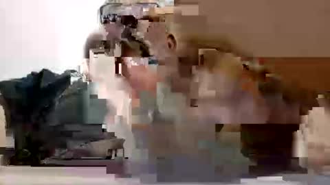 Snapshot of poli475 chatting on 27, 2, 2026 poli online show from 27, 2, 2026