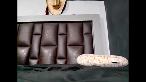 porky699 online show from 5, 10, 2025