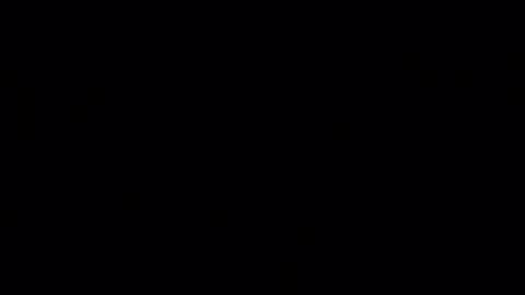 porkynerd online show from 29, 10, 2025