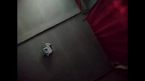 Potro770723 online show from 20, 11, 2025