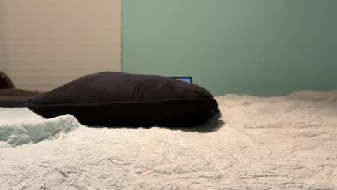 poundkakes online show from 11, 7, 2026