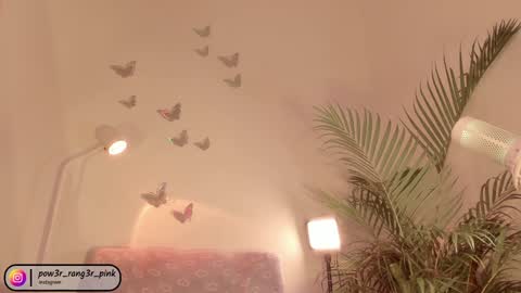 genie online show from 5, 12, 2024