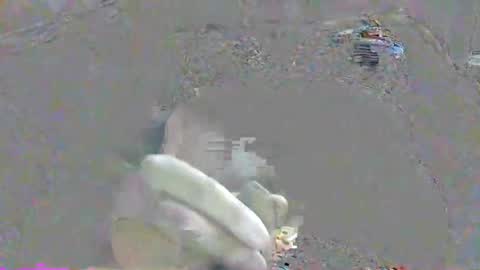 ppsmall_17 online show from 17, 10, 2025
