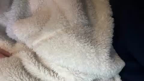 Prelako online show from 26, 10, 2025