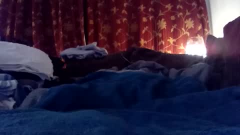 Snapshot of pretty_boy_jack chatting on 25, 2, 2025 pretty_boy_jack online show from 25, 2, 2025