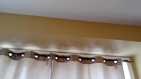 pretty_littletoy online show from 5, 3, 2026