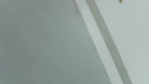 Snapshot of pretty_rose_ chatting on 14, 11, 2025 Rose online show from 14, 11, 2025