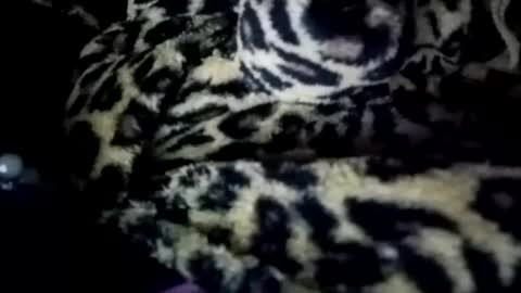 prettyma online show from 21, 1, 2025