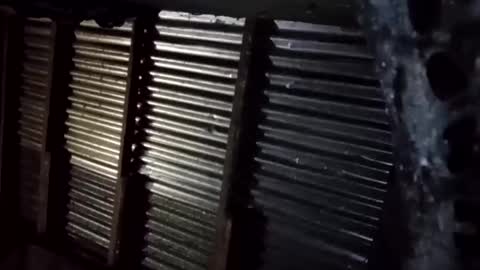 prettyneca5991 online show from 16, 1, 2026