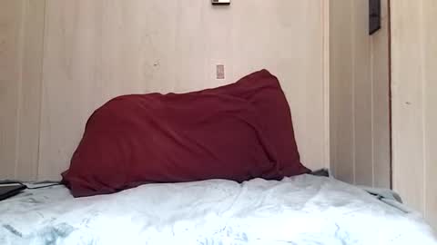 Snapshot of prettysolidd7 chatting on 2, 12, 2024 prettysolidd7 online show from 2, 12, 2024