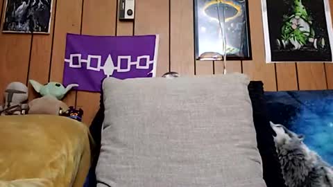 Snapshot of prettysolidd7 chatting on 27, 1, 2025 prettysolidd7 online show from 27, 1, 2025