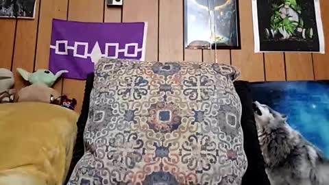Snapshot of prettysolidd7 chatting on 28, 1, 2025 prettysolidd7 online show from 28, 1, 2025
