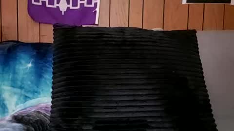 Snapshot of prettysolidd7 chatting on 24, 2, 2025 prettysolidd7 online show from 24, 2, 2025