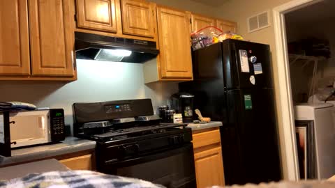 prettyworld24 online show from 4, 1, 2025