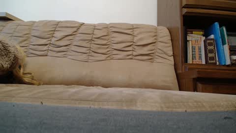 Snapshot of princeofprague420 chatting on 7, 2, 2025 Prince Of Prague online show from 7, 2, 2025