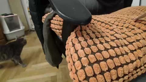 Snapshot of princeofprague420 chatting on 2, 3, 2025 Prince Of Prague online show from 2, 3, 2025