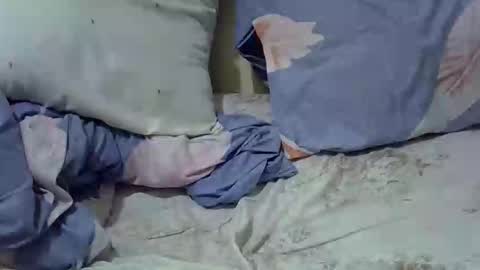 Princess online show from 27, 3, 2026