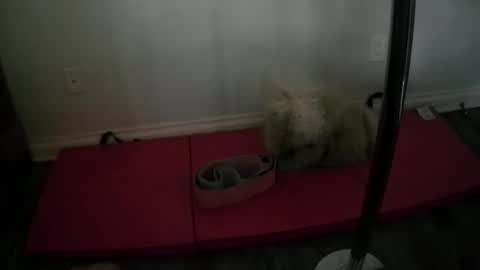 princesskimami online show from 25, 10, 2025