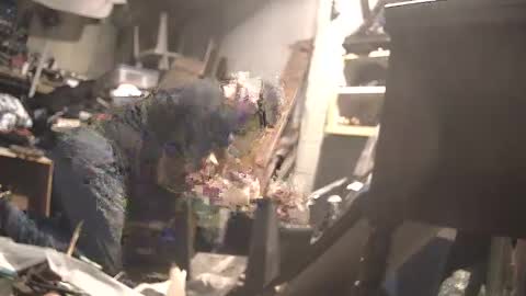 prophetof69 online show from 26, 1, 2025