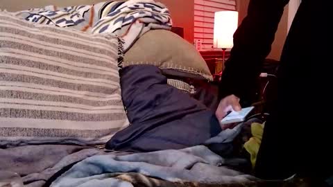 Sk8wave online show from 10, 2, 2026