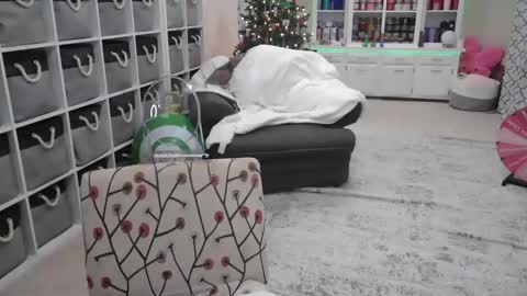 Snapshot of pugglelover chatting on 14, 12, 2024 Puggie - online show from 14, 12, 2024