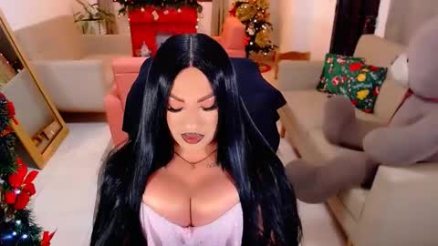 Snapshot of punisher9inchss chatting on 16, 12, 2025 online show from 16, 12, 2025