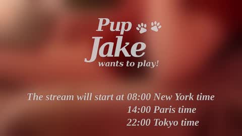 Snapshot of pup_jake chatting on 25, 12, 2024 Pup Jake wants to play online show from 25, 12, 2024