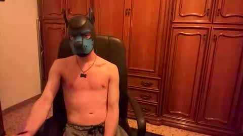 Snapshot of pup_toby chatting on 3, 11, 2025 Toby online show from 3, 11, 2025