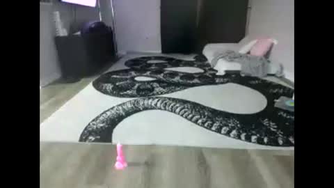 Snapshot of puppynubiss chatting on 6, 11, 2025 Puppynubiss online show from 6, 11, 2025