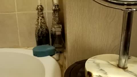 Snapshot of purecharismacpl chatting on 20, 2, 2026 purecharismacpl online show from 20, 2, 2026