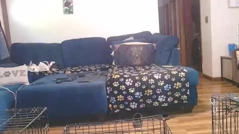 Mark online show from 1, 10, 2025